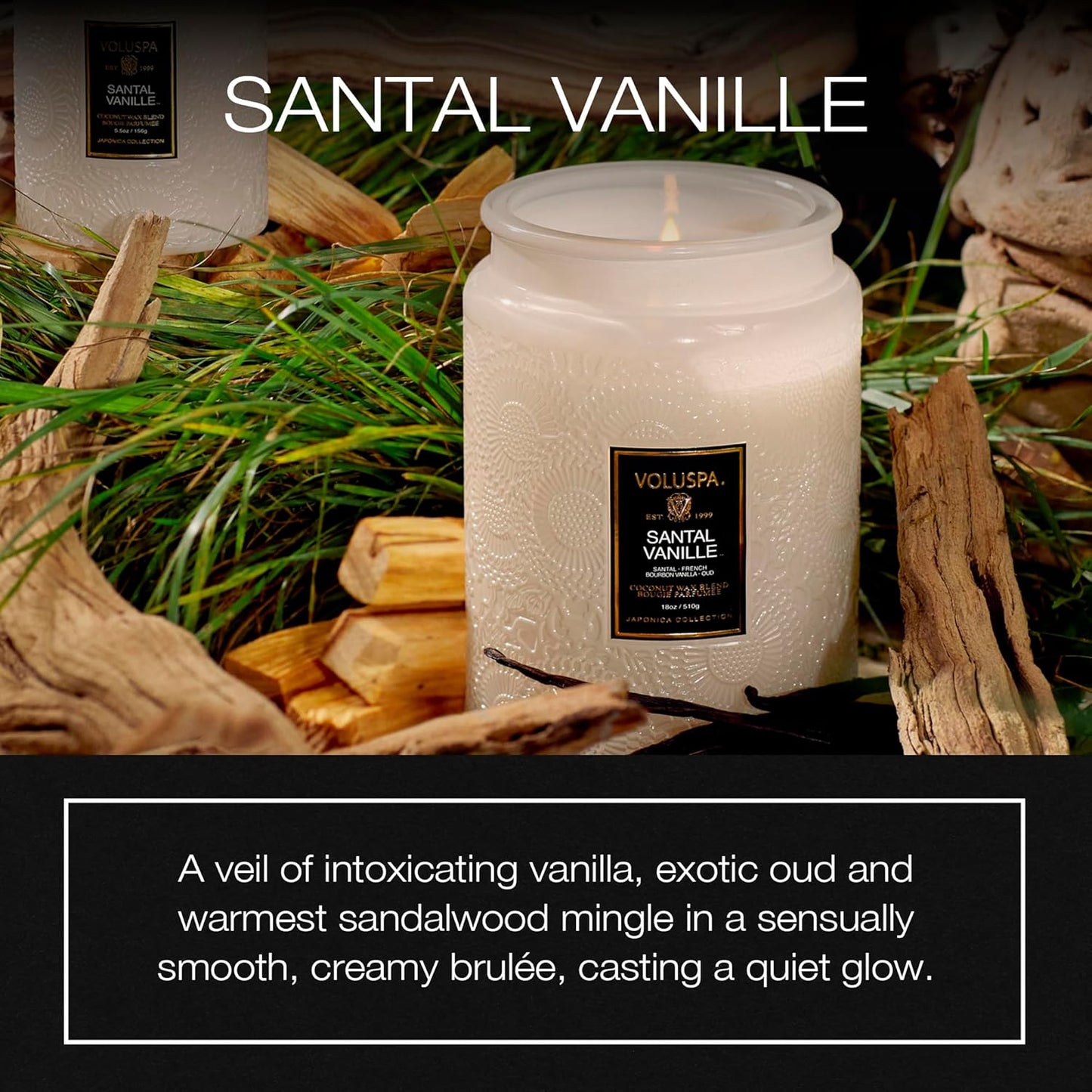 Santal Vanille Candle, 18 Oz, Coconut Wax Blend, Scented Candles for Home, 100 Hour Burn Time, Candle Jars